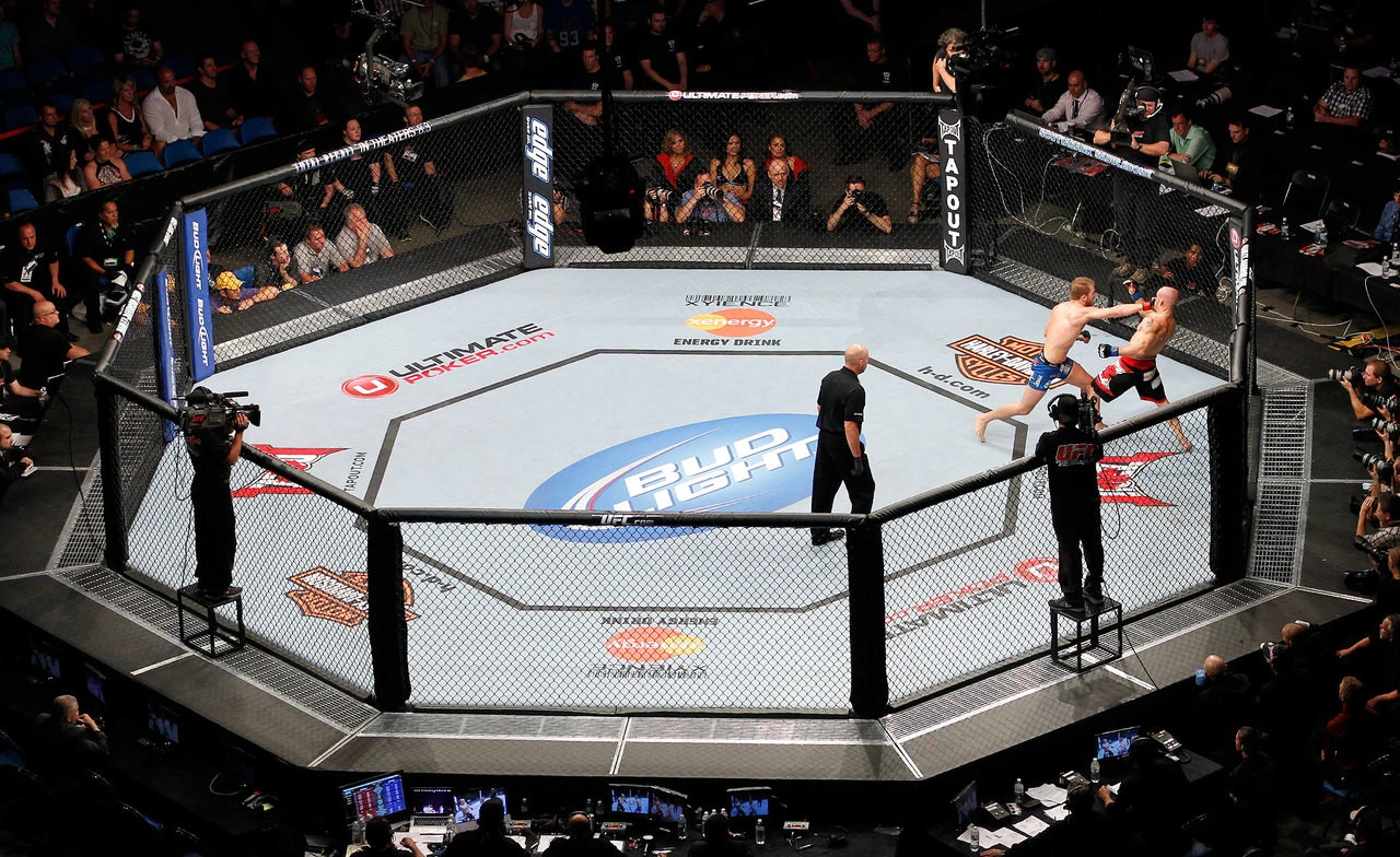 UFC 1xBet online bahis - maç öncesi ve canlı